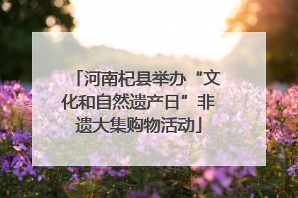 河南杞县举办“文化和自然遗产日”非遗大集购物活动