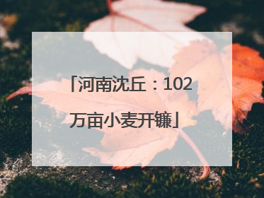 河南沈丘：102 万亩小麦开镰