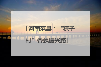 河南范县：“粽子村”香飘振兴路