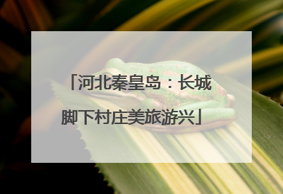 河北秦皇岛：长城脚下村庄美旅游兴