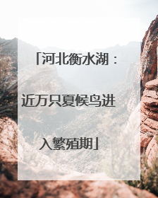 河北衡水湖：近万只夏候鸟进入繁殖期