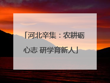 河北辛集：农耕砺心志 研学育新人