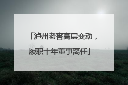 泸州老窖高层变动，履职十年董事离任