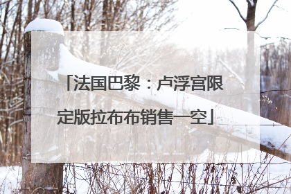 法国巴黎：卢浮宫限定版拉布布销售一空