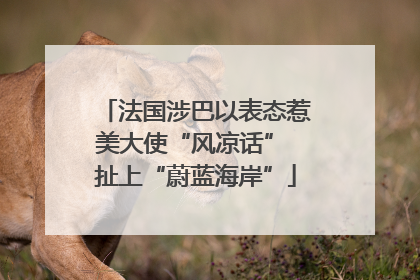 法国涉巴以表态惹美大使“风凉话” 扯上“蔚蓝海岸”