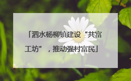 泗水杨柳镇建设“共富工坊”，推动强村富民