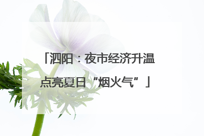 泗阳：夜市经济升温 点亮夏日“烟火气”