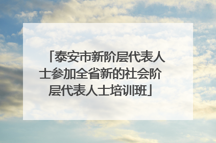 泰安市新阶层代表人士参加全省新的社会阶层代表人士培训班