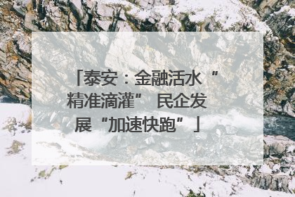 泰安：金融活水“精准滴灌” 民企发展“加速快跑”
