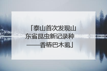 泰山首次发现山东省昆虫新记录种——香椿巴木虱