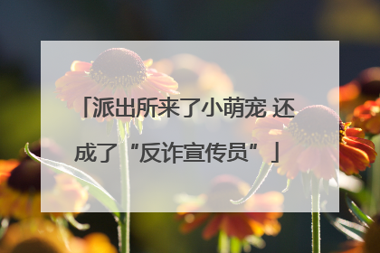 派出所来了小萌宠 还成了“反诈宣传员”