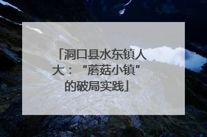 洞口县水东镇人大：“蘑菇小镇”的破局实践