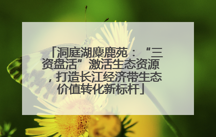 洞庭湖麋鹿苑：“三资盘活”激活生态资源，打造长江经济带生态价值转化新标杆