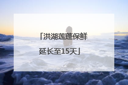 洪湖莲蓬保鲜延长至15天