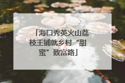 海口秀英火山荔枝王铺就乡村“甜蜜”致富路