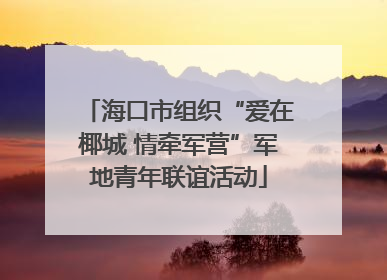 海口市组织“爱在椰城 情牵军营”军地青年联谊活动