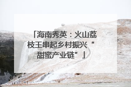 海南秀英：火山荔枝王串起乡村振兴“甜蜜产业链”