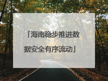 海南稳步推进数据安全有序流动