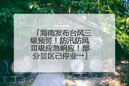 海南发布台风三级预警！防汛防风Ⅲ级应急响应！部分景区已停业→