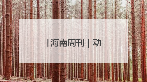 海南周刊｜动物“托儿所”里的双倍母爱