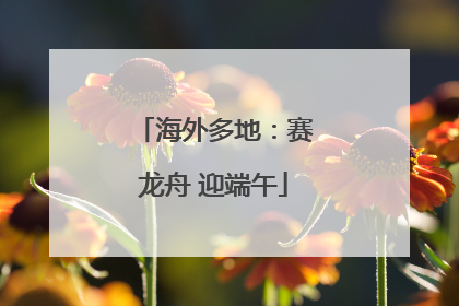 海外多地：赛龙舟 迎端午