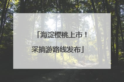 海淀樱桃上市！采摘游路线发布
