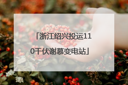 浙江绍兴投运110千伏谢慕变电站
