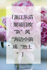浙江乐清：聚项目吹“新”风 “海边小镇”成“热土”