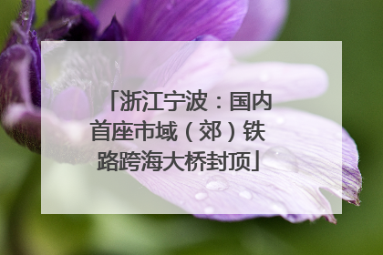 浙江宁波：国内首座市域（郊）铁路跨海大桥封顶