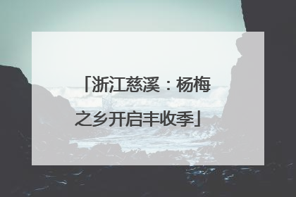浙江慈溪：杨梅之乡开启丰收季