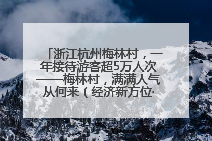 浙江杭州梅林村，一年接待游客超5万人次——梅林村，满满人气从何来（经济新方位·农村消费观察）