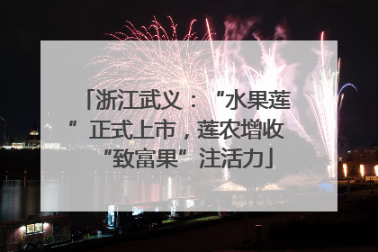 浙江武义：“水果莲”正式上市，莲农增收“致富果”注活力