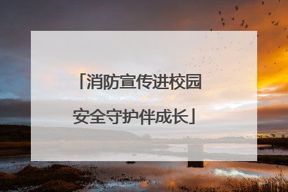 消防宣传进校园 安全守护伴成长