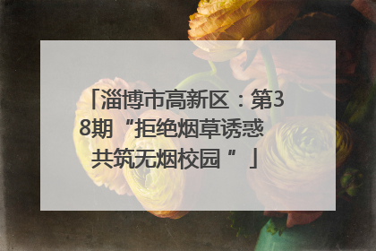 淄博市高新区：第38期“拒绝烟草诱惑 共筑无烟校园 ”