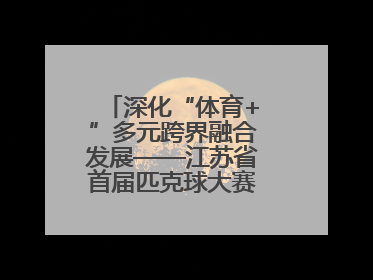 深化“体育+”多元跨界融合发展——江苏省首届匹克球大赛在无锡开赛
