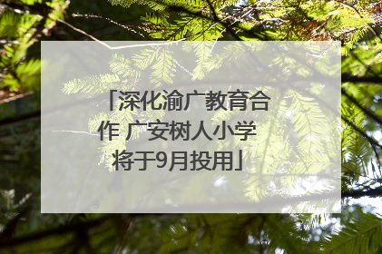 深化渝广教育合作 广安树人小学将于9月投用