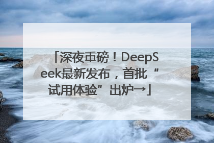 深夜重磅！DeepSeek最新发布，首批“试用体验”出炉→