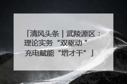 清风头条｜武陵源区：理论实务“双驱动 ” 充电赋能“增才干”