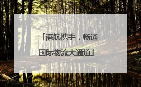港航携手，畅通国际物流大通道