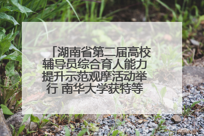 湖南省第二届高校辅导员综合育人能力提升示范观摩活动举行 南华大学获特等奖和一等奖