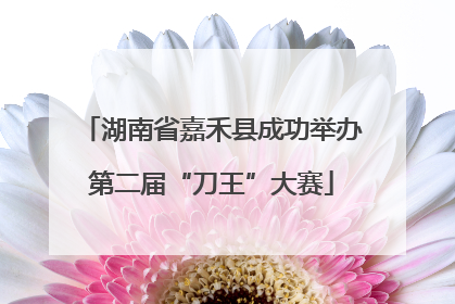 湖南省嘉禾县成功举办第二届“刀王”大赛