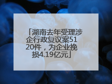 湖南去年受理涉企行政复议案5120件，为企业挽损4.19亿元
