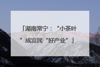 湖南常宁：“小茶叶”成富民“好产业”