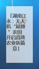 湖南江永：无人机“展翅”农田 开启高效农业新篇章