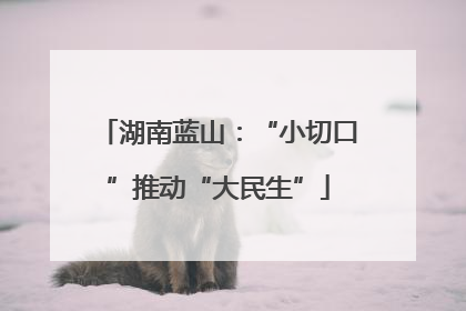 湖南蓝山：“小切口”推动“大民生”