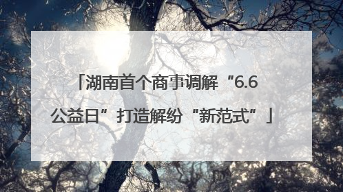 湖南首个商事调解“6.6 公益日”打造解纷“新范式”