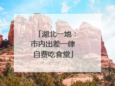 湖北一地：市内出差一律自费吃食堂