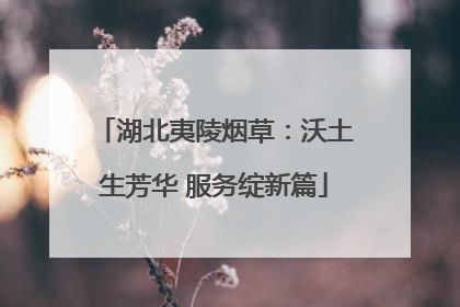 湖北夷陵烟草：沃土生芳华 服务绽新篇