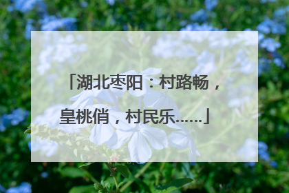 湖北枣阳：村路畅，皇桃俏，村民乐……