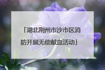 湖北荆州市沙市区消防开展无偿献血活动